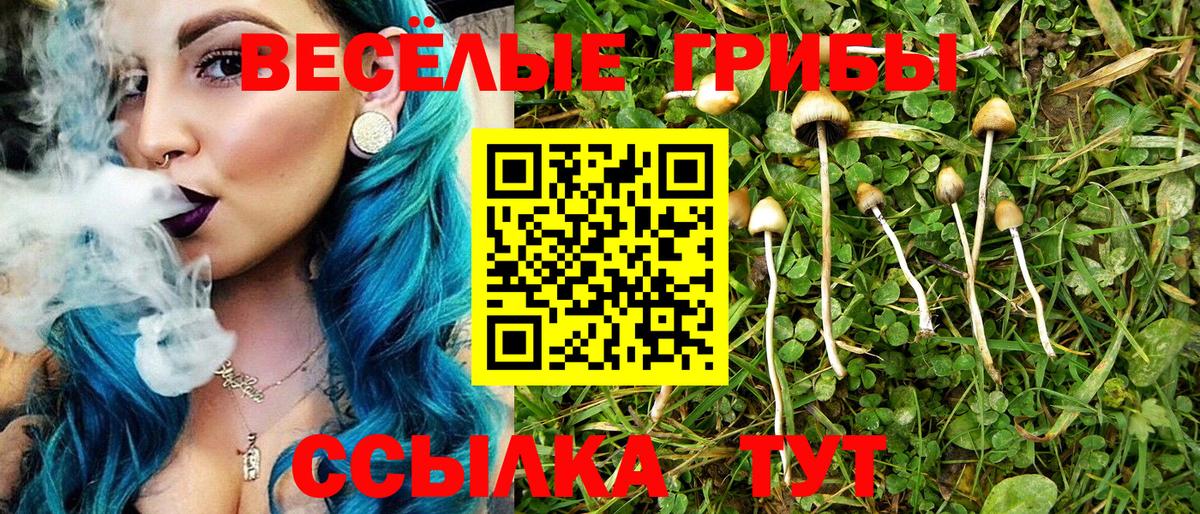 Псилоцибиновые грибы GOLDEN TEACHER Югорск